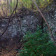 Illustration for article titled Fall photo dump